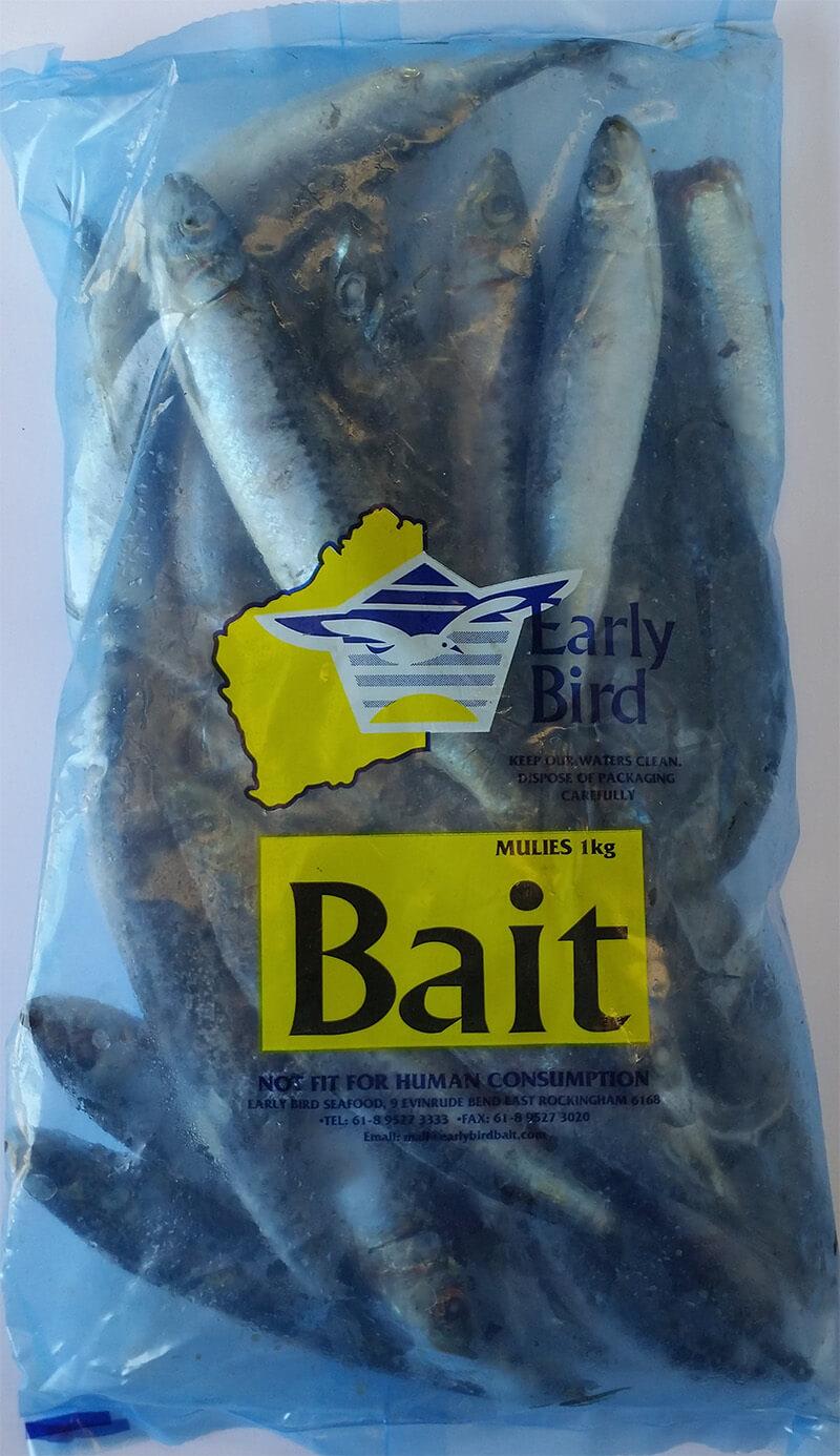 Mulies frozen bait — Earlybird Bait Western Australia